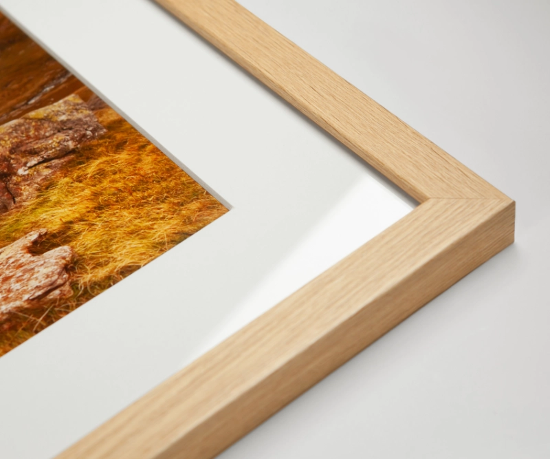 Detail fotografie v rámu s paspartou