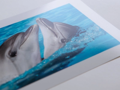 Náhled tištěné fotografie s velkým bílým okrajem