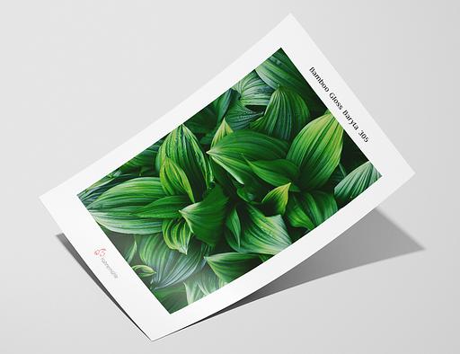 Vzorek - Bamboo Gloss Baryta 305 – Hahnemuhle