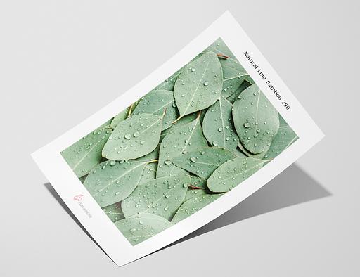 Vzorek - Bamboo 290 – Hahnemuhle